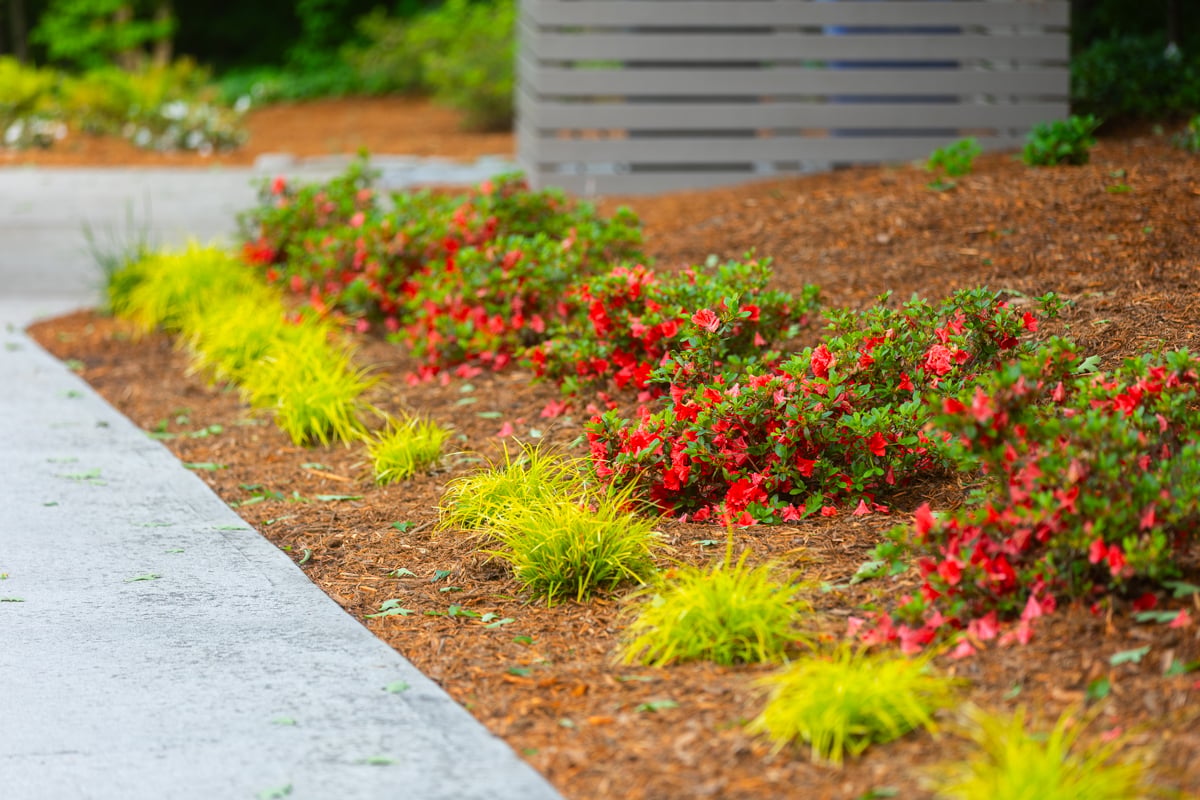 wood mulch is usually the best choice for planting beds