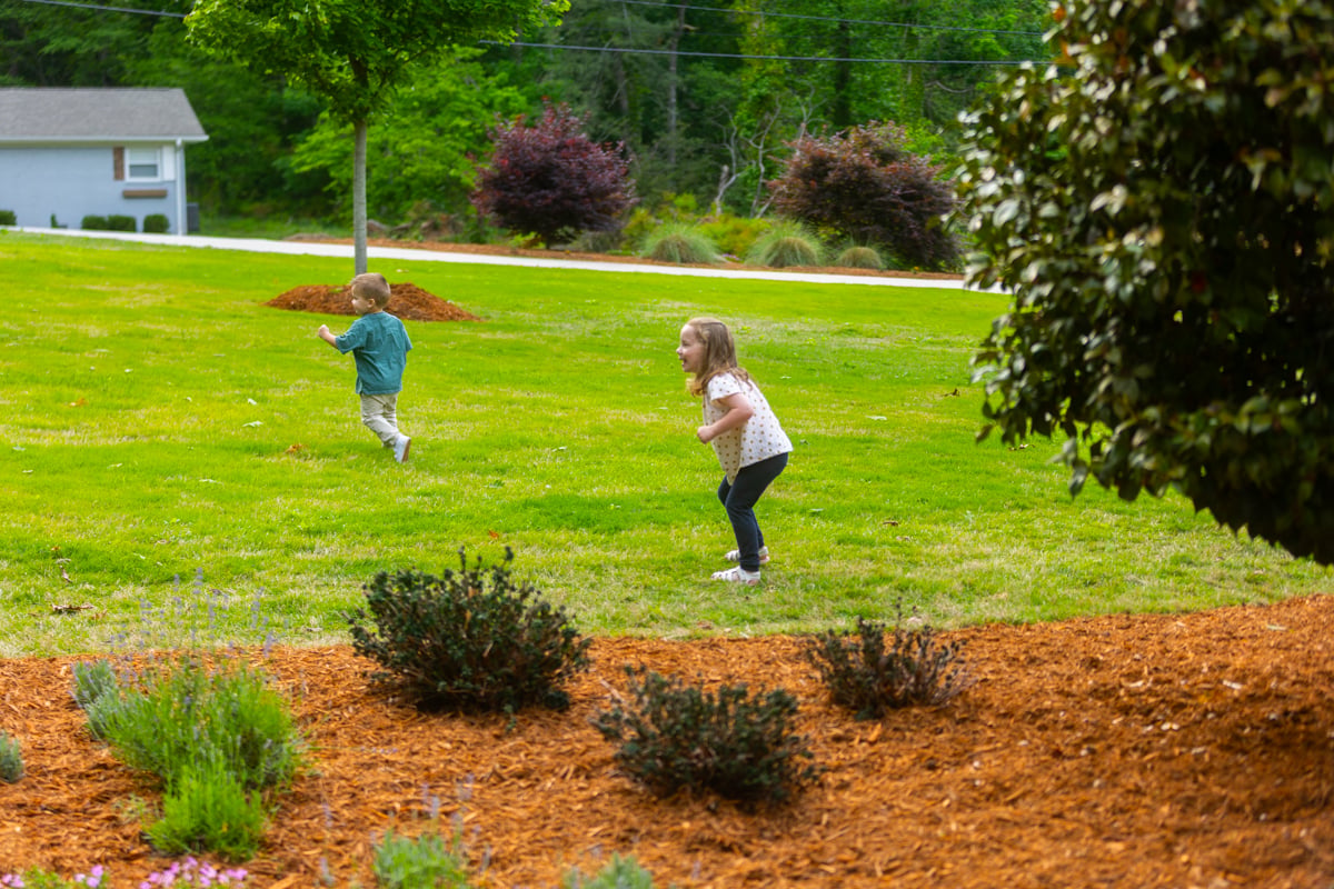 wood mulch hold up next to grassy areas and gives a clean look to planting beds