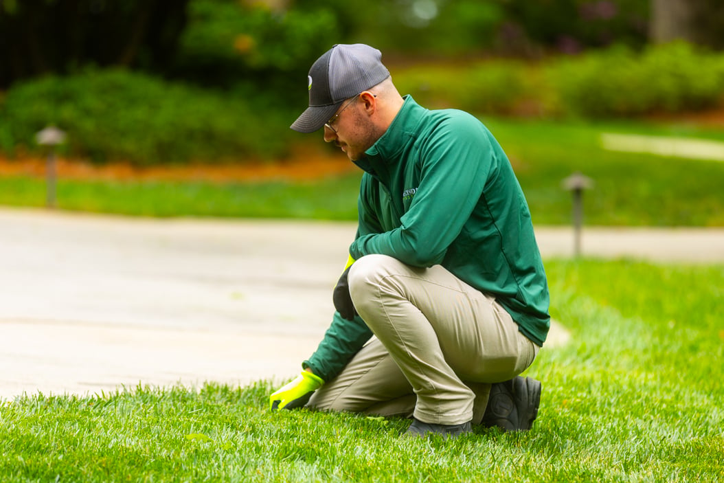aeration and overseeding depends on the type of grass you have