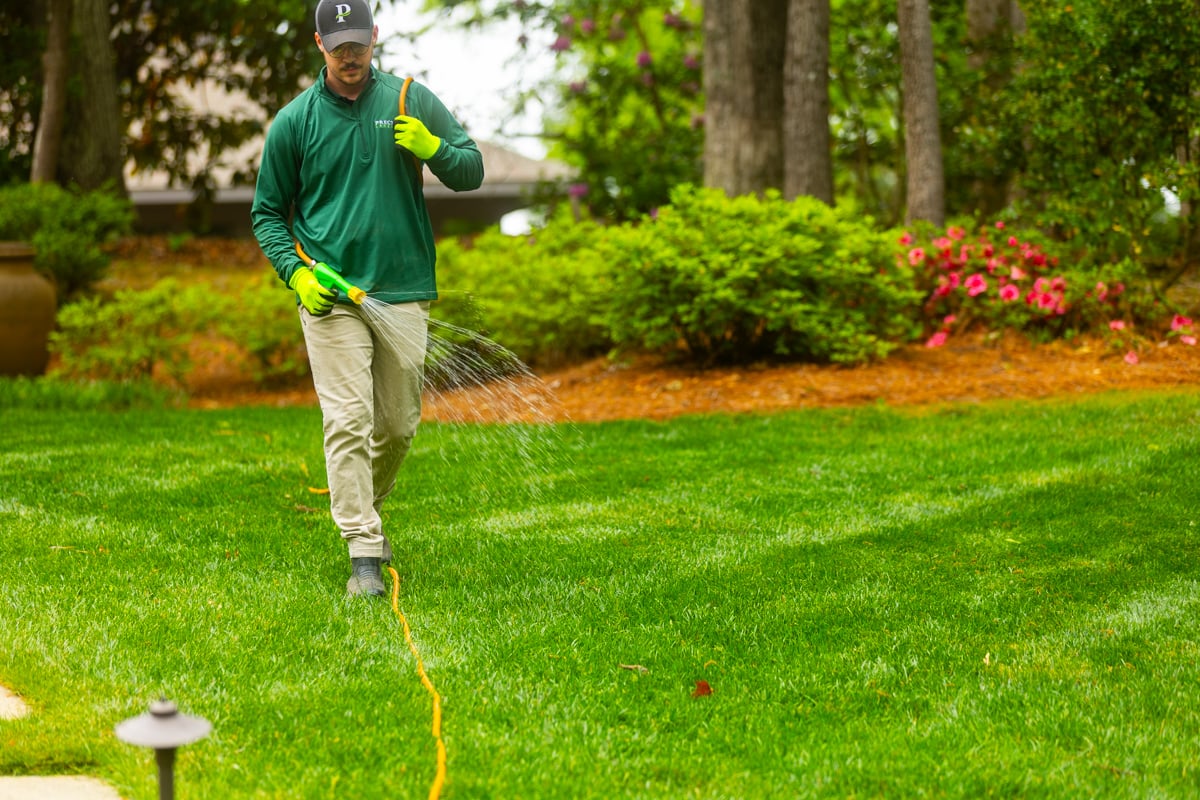 spraying liquid weed control