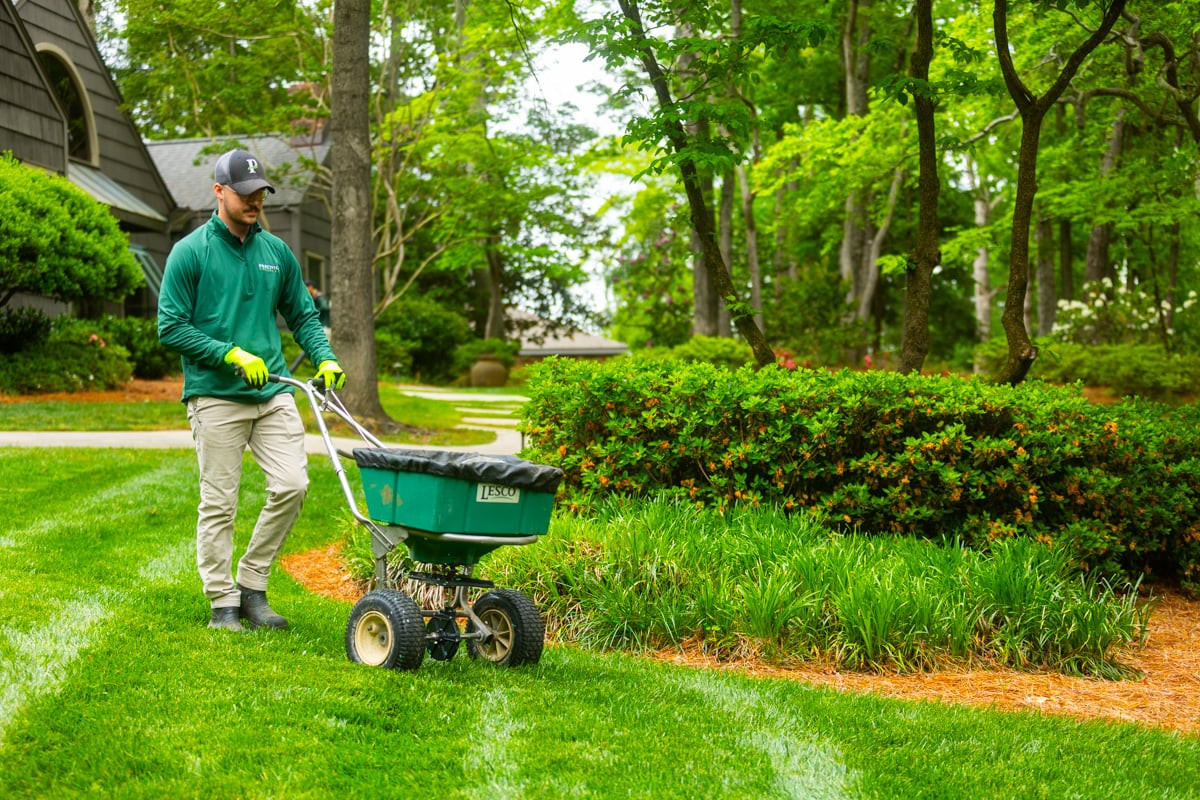 a full lawn care program benefits from core aeration and overseeding