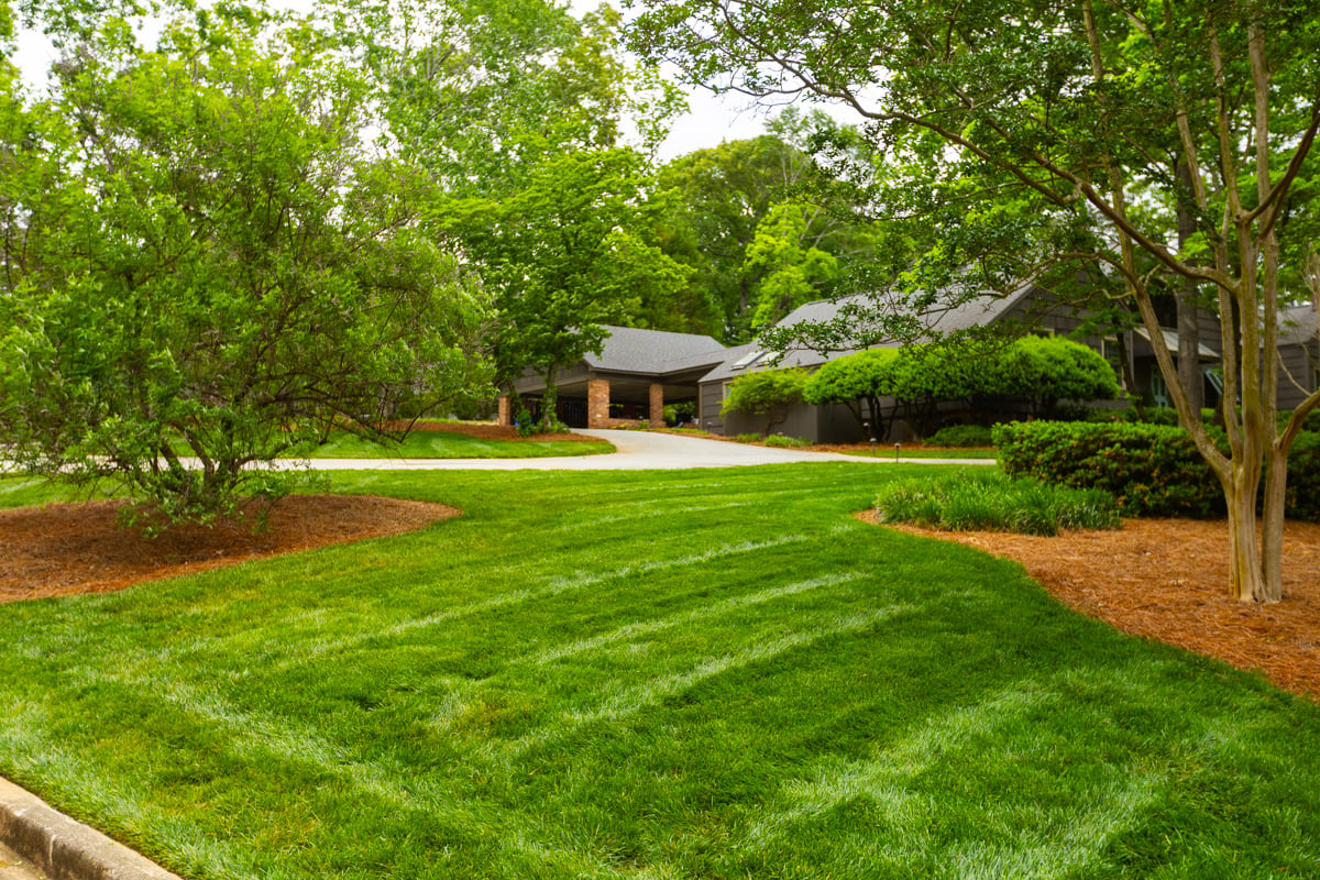 great lawn