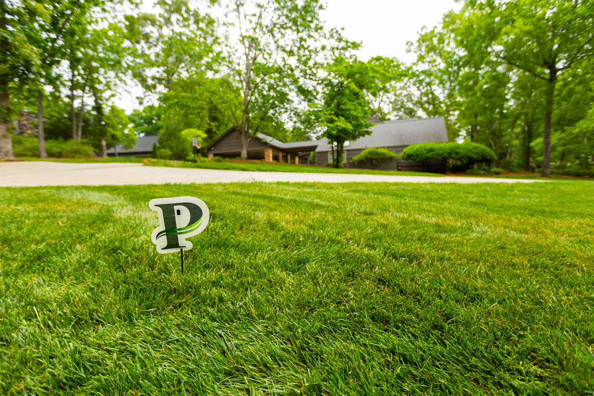 healthier, thicker grass results from overseeding