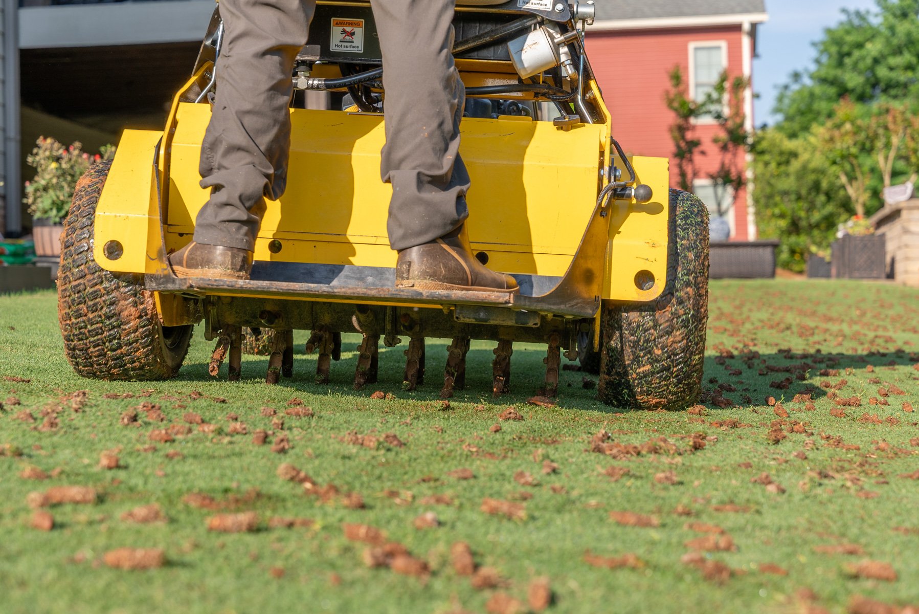 core aeration plugs are left to decompose on the grass surface