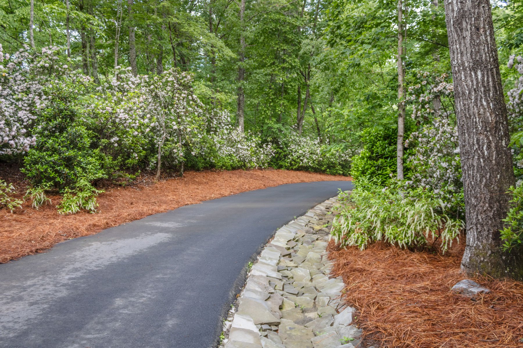 drainage runoff running along a sloped driveway