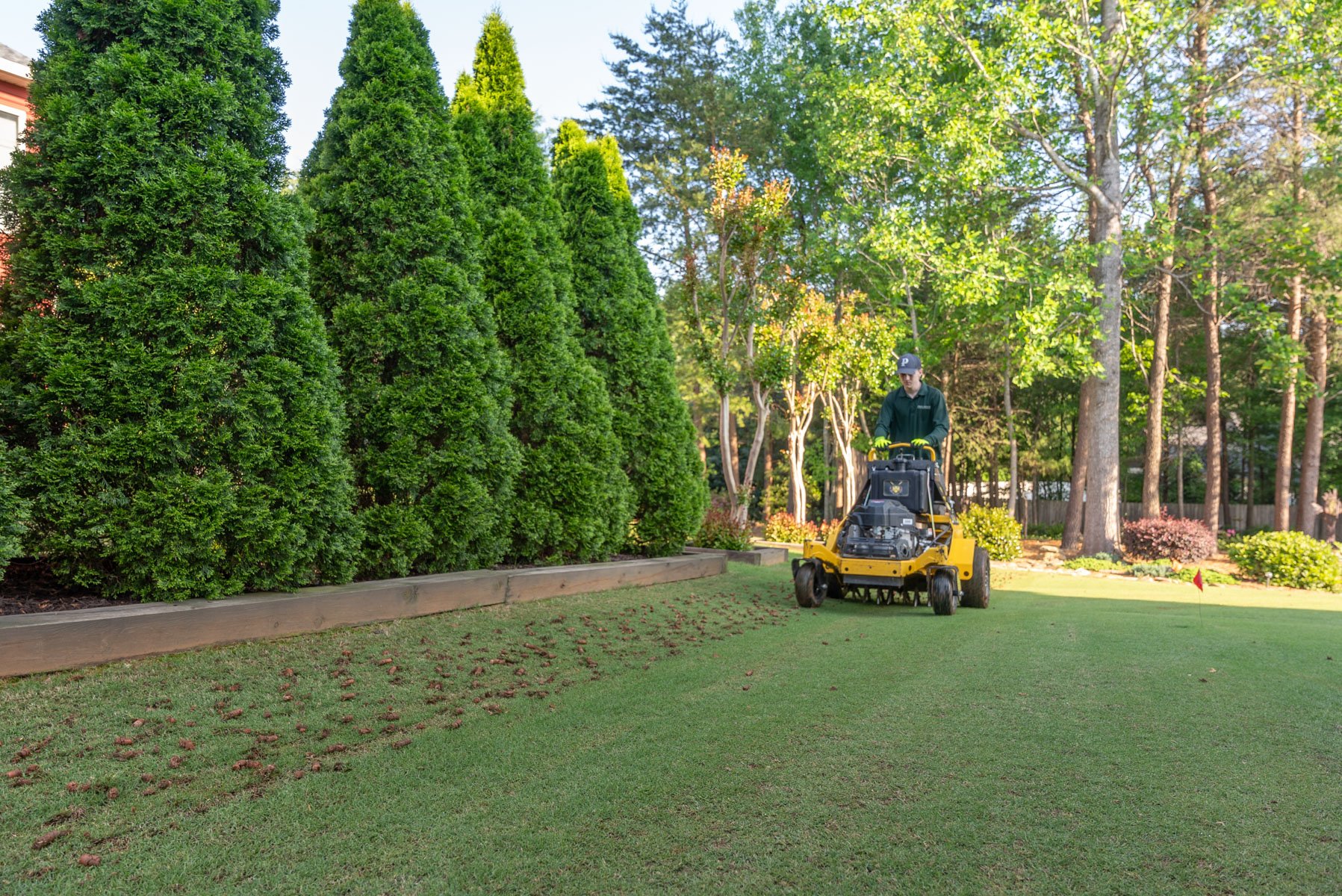 lawn aeration lawn care crew plugs grass 4