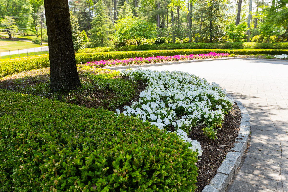 flower beds driveway install