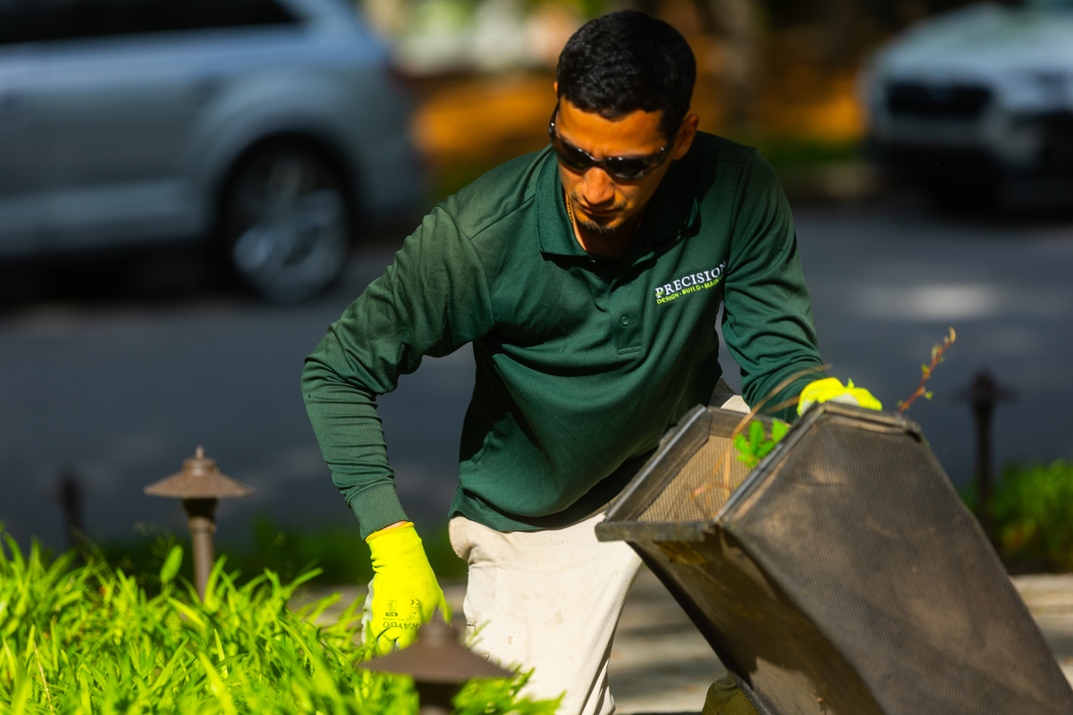 upstate sc landscape maintenance and gardening services