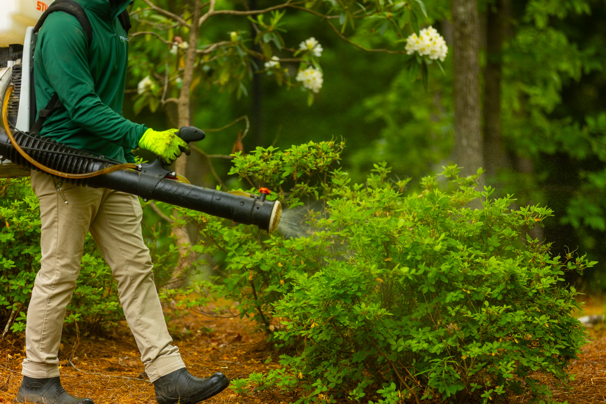 mosquito control lake keowee
