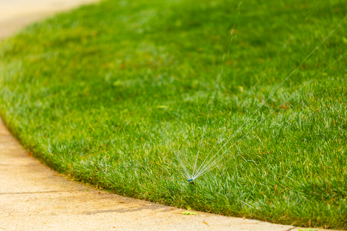 detail van 1804 sprinkler head grass irrigation