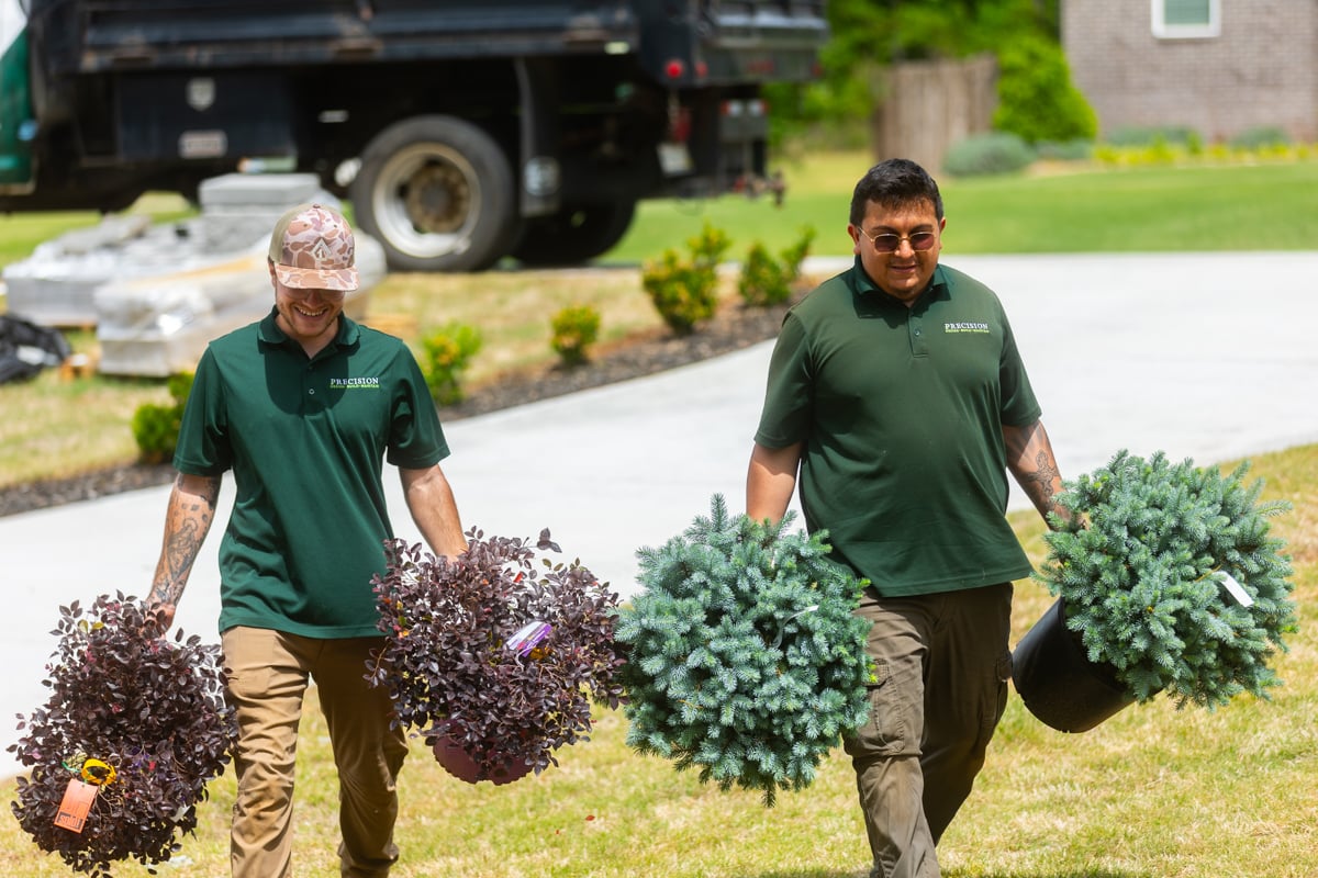 best plants for upstate SC