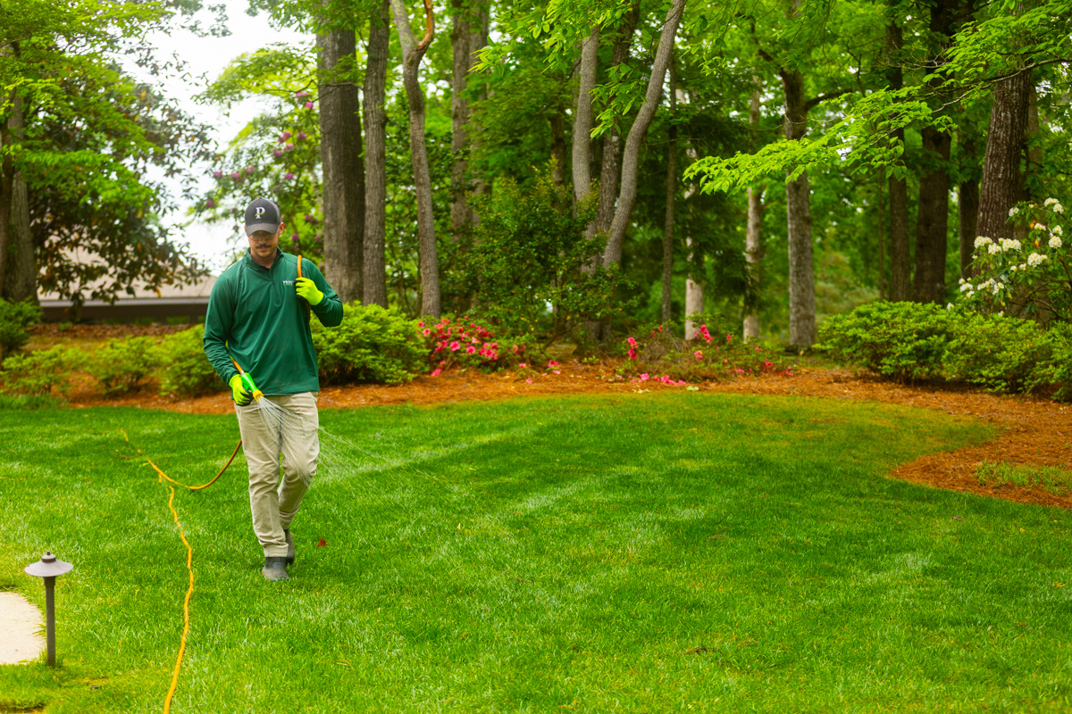 outdoor pest control greenville