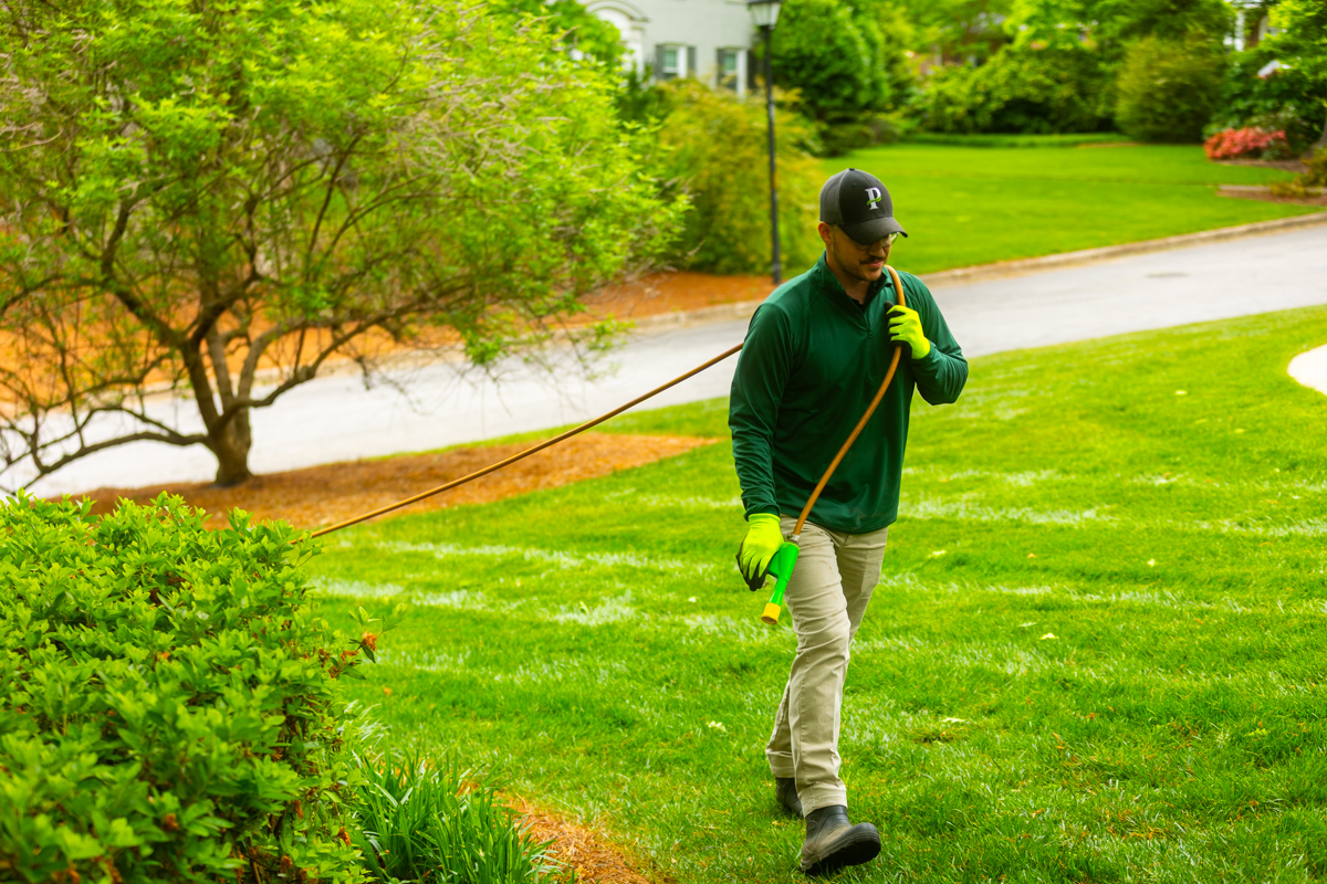 exterior pest control
