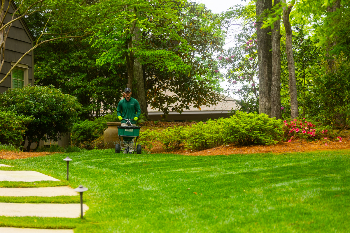 lawn care tech spreading granular fertilizer treatment grass yard 3