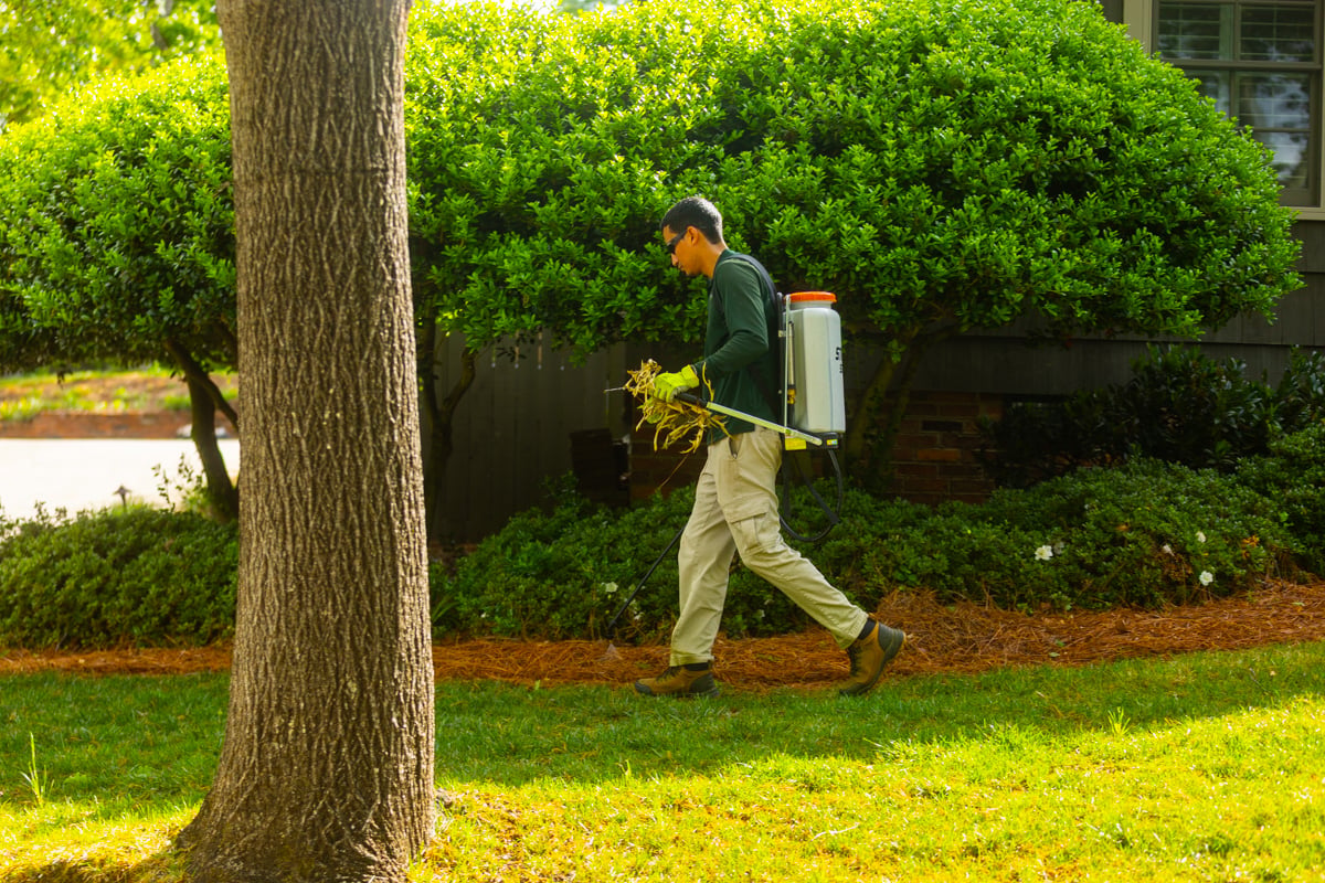 lawn weed control and removal lake keowee