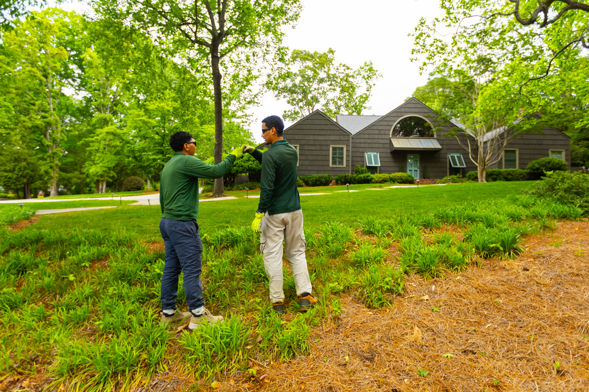 the precision landscape team
