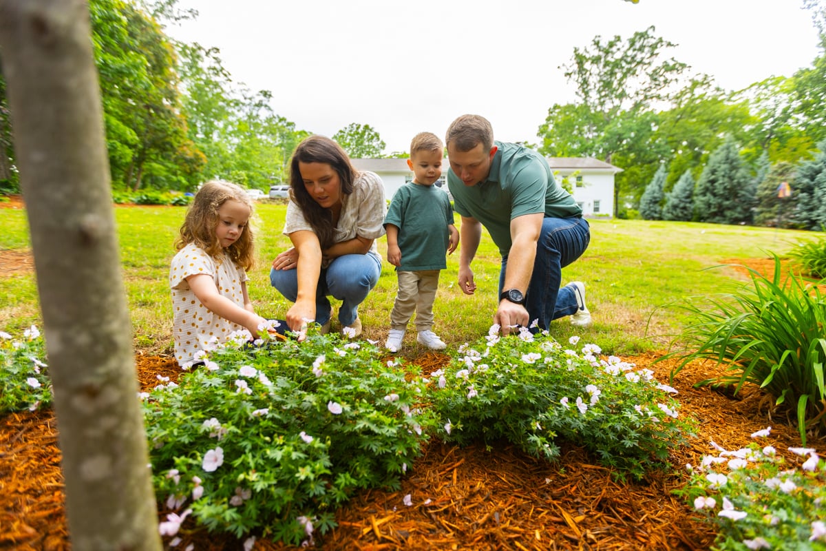 landscape services in greenville and lake keowee