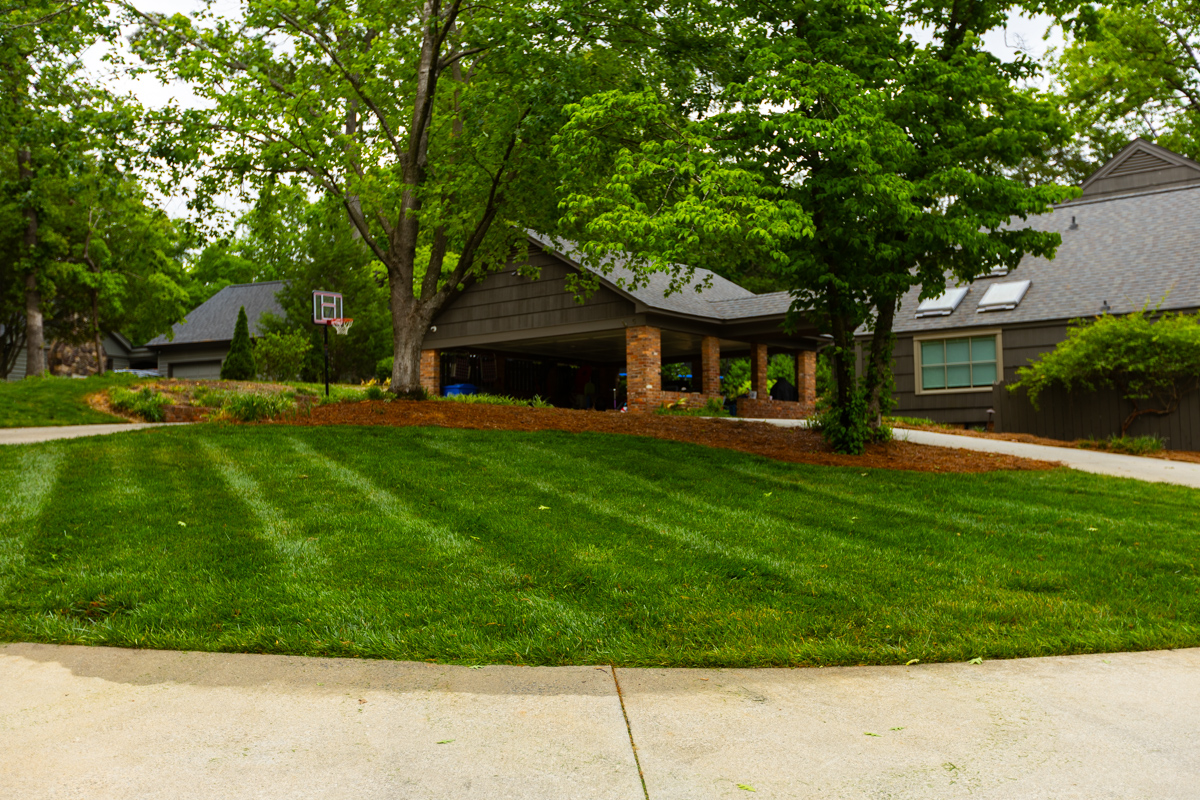 nice grass green lawn turf front yard driveway 2
