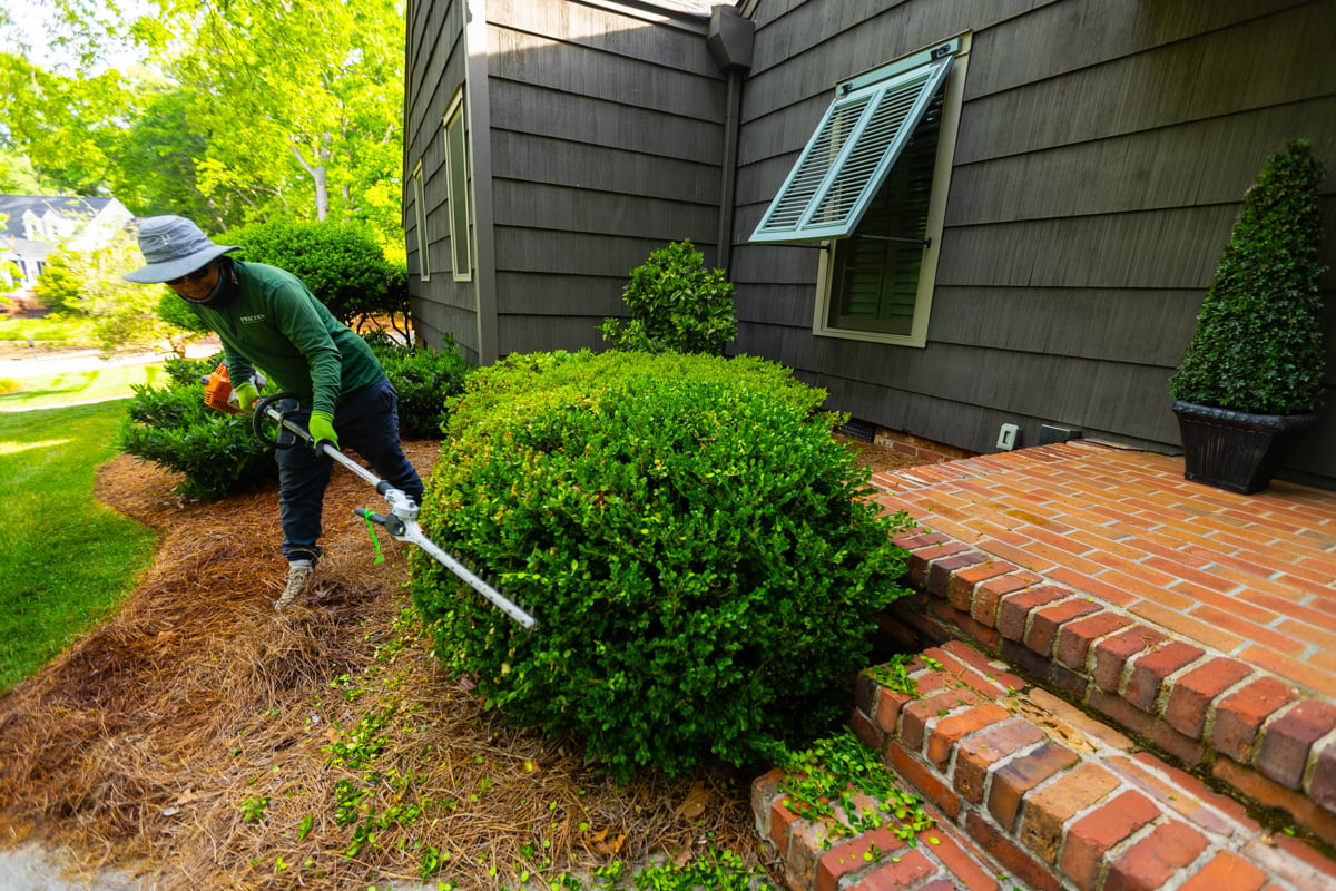 yard maintenance services greenville