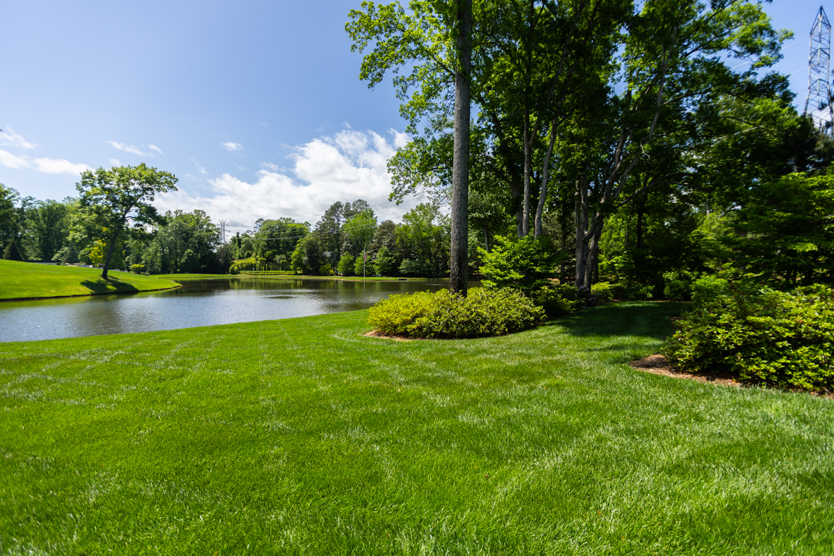 nice lake grass lawn planting beds shrubs trees