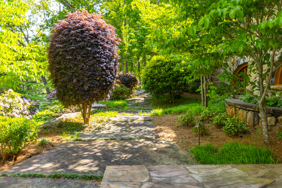 nice tree shrub smoke bush large stone steppers wall plants