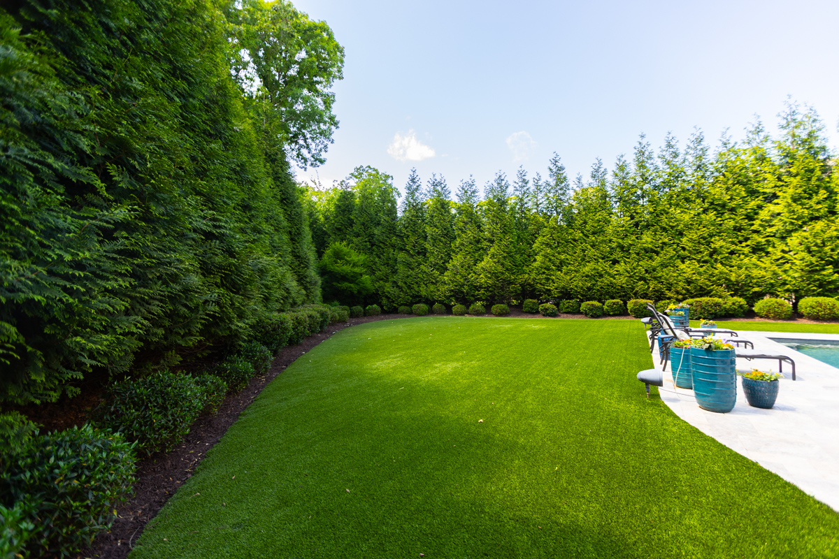 screening privacy plants arborvitae pool deck seating artificial turf