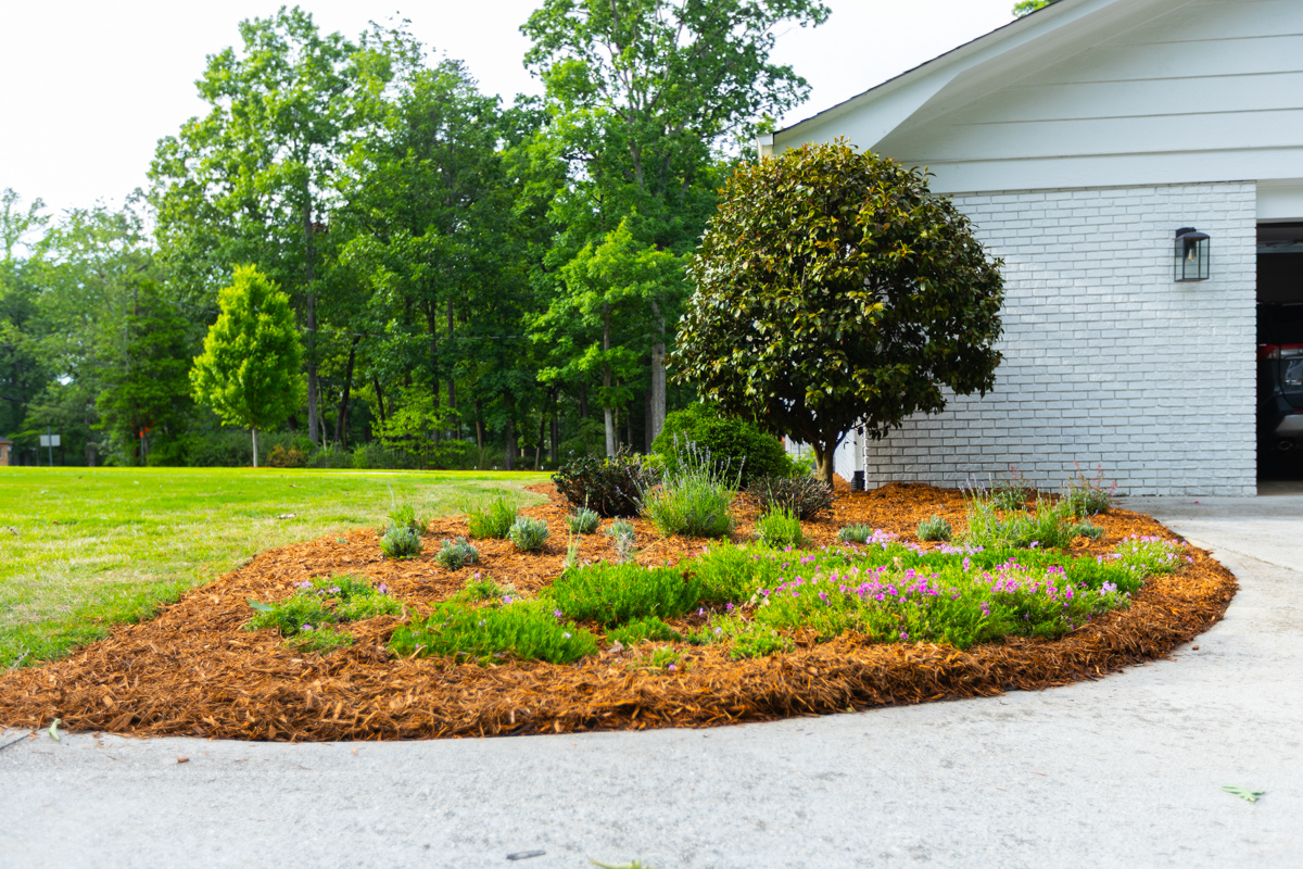 healthy plants greenville