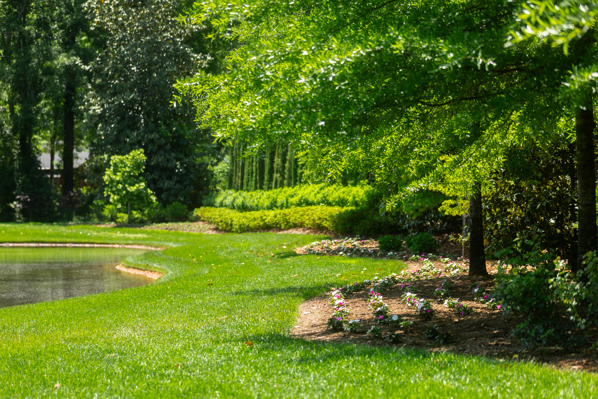 water lake trees planting beds annual flowers grass