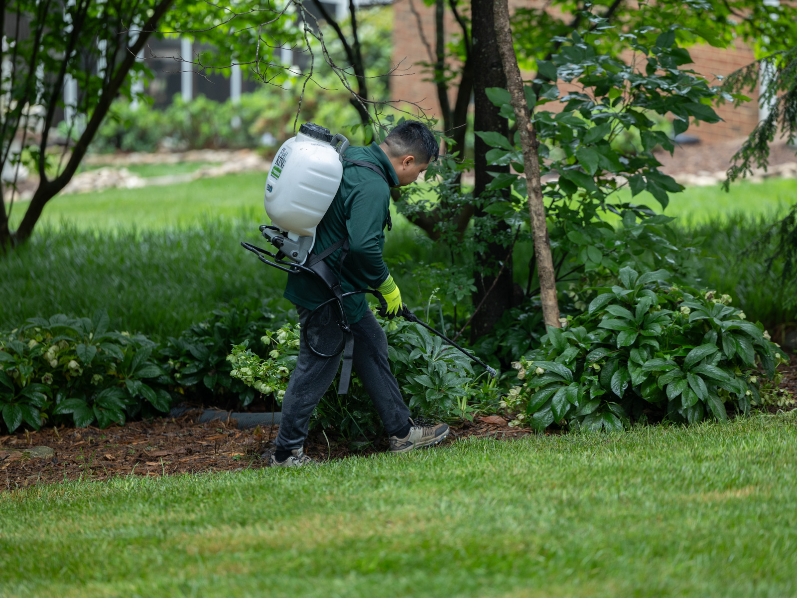 crew maintenance weed spot spray liquid control 4