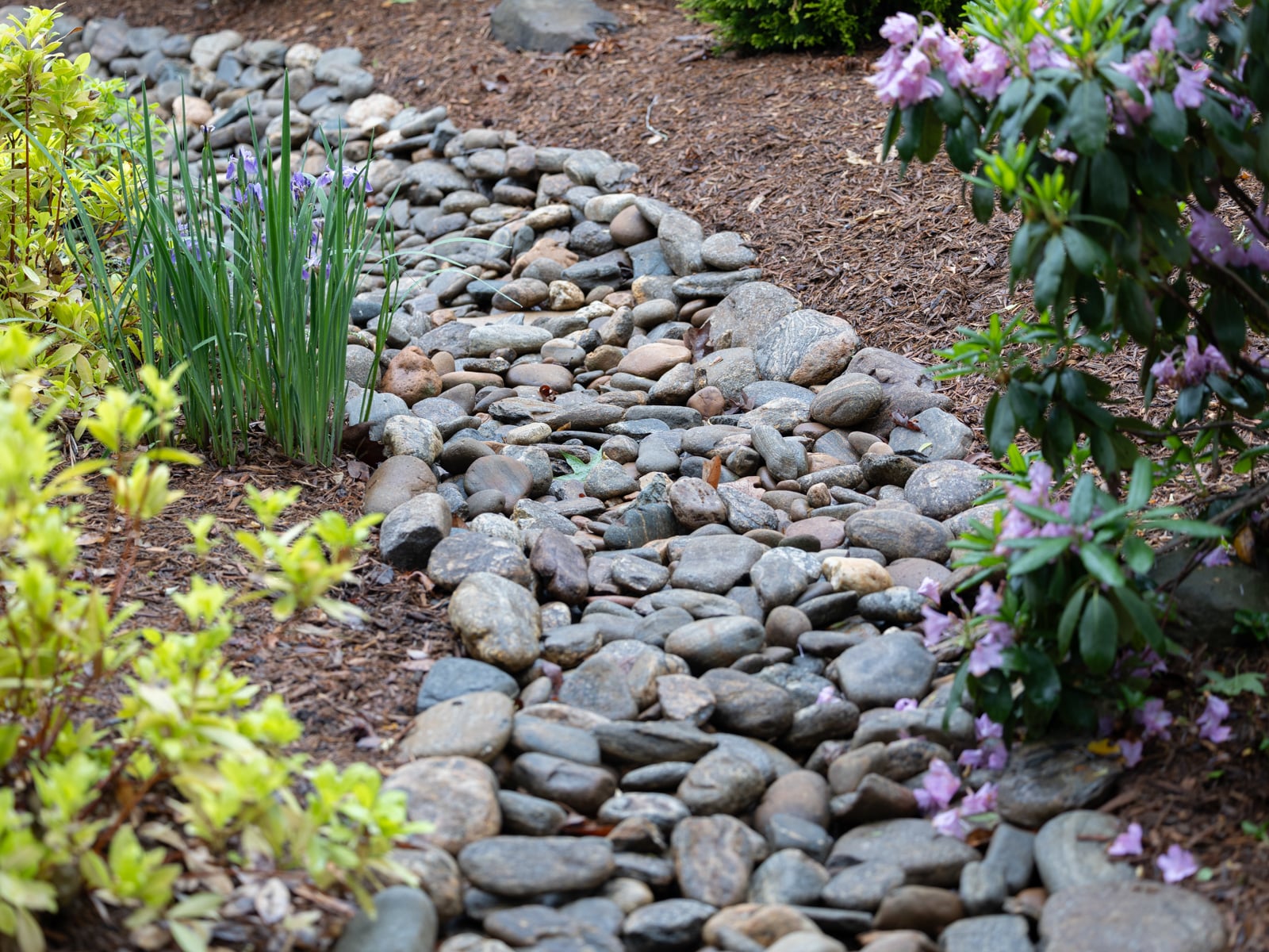 landscape drainage swale