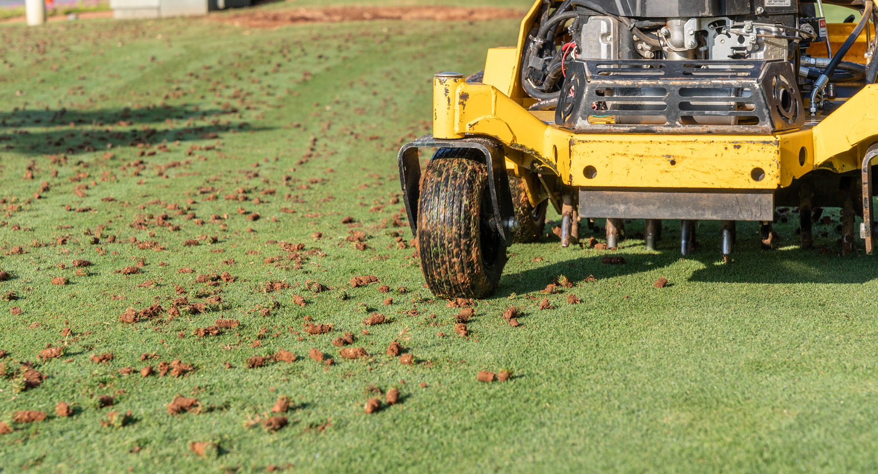 detail lawn aeration lawn care crew plugs grass 2