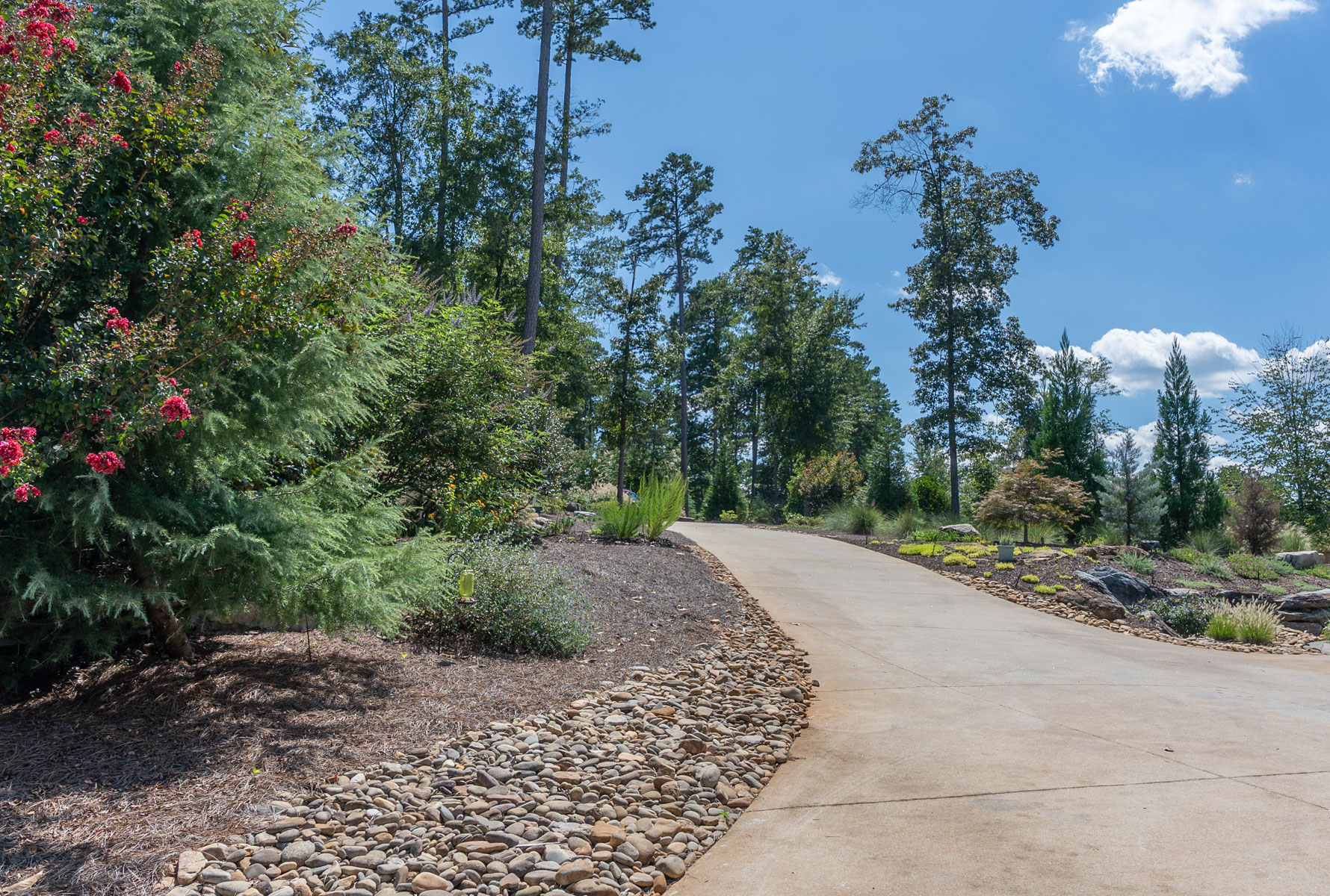 driveway gravel mulch bed plants trees