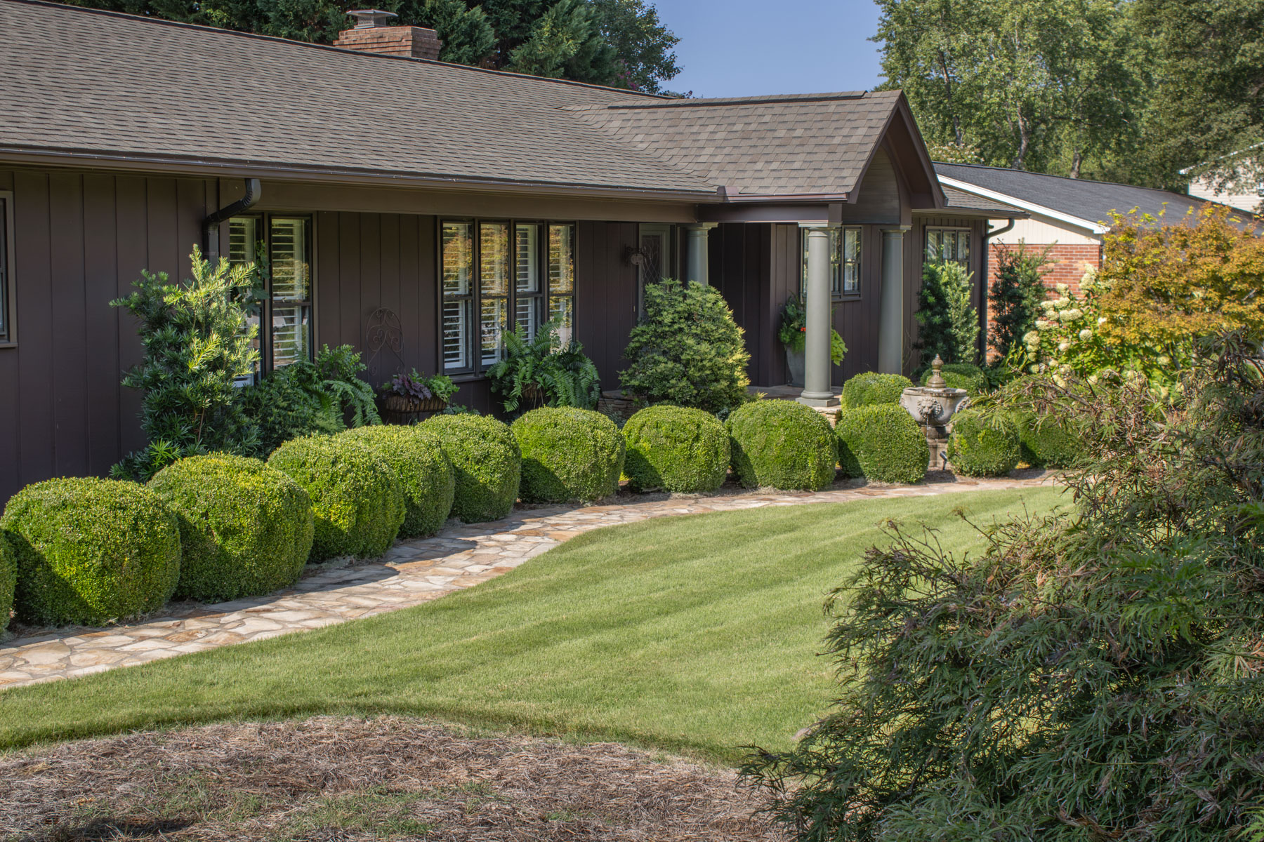 grass shrubs planting bed vert hydrangea