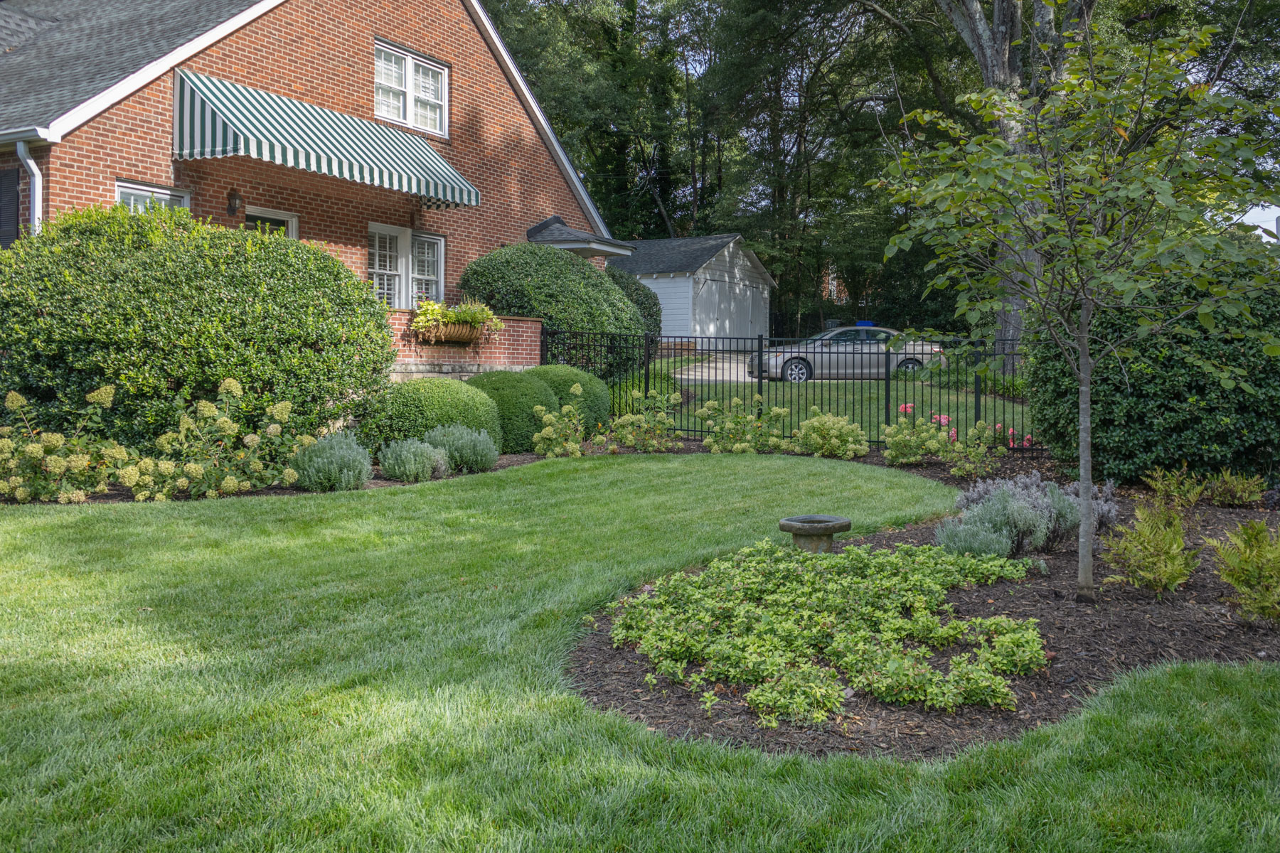 home planting bed grass lawn