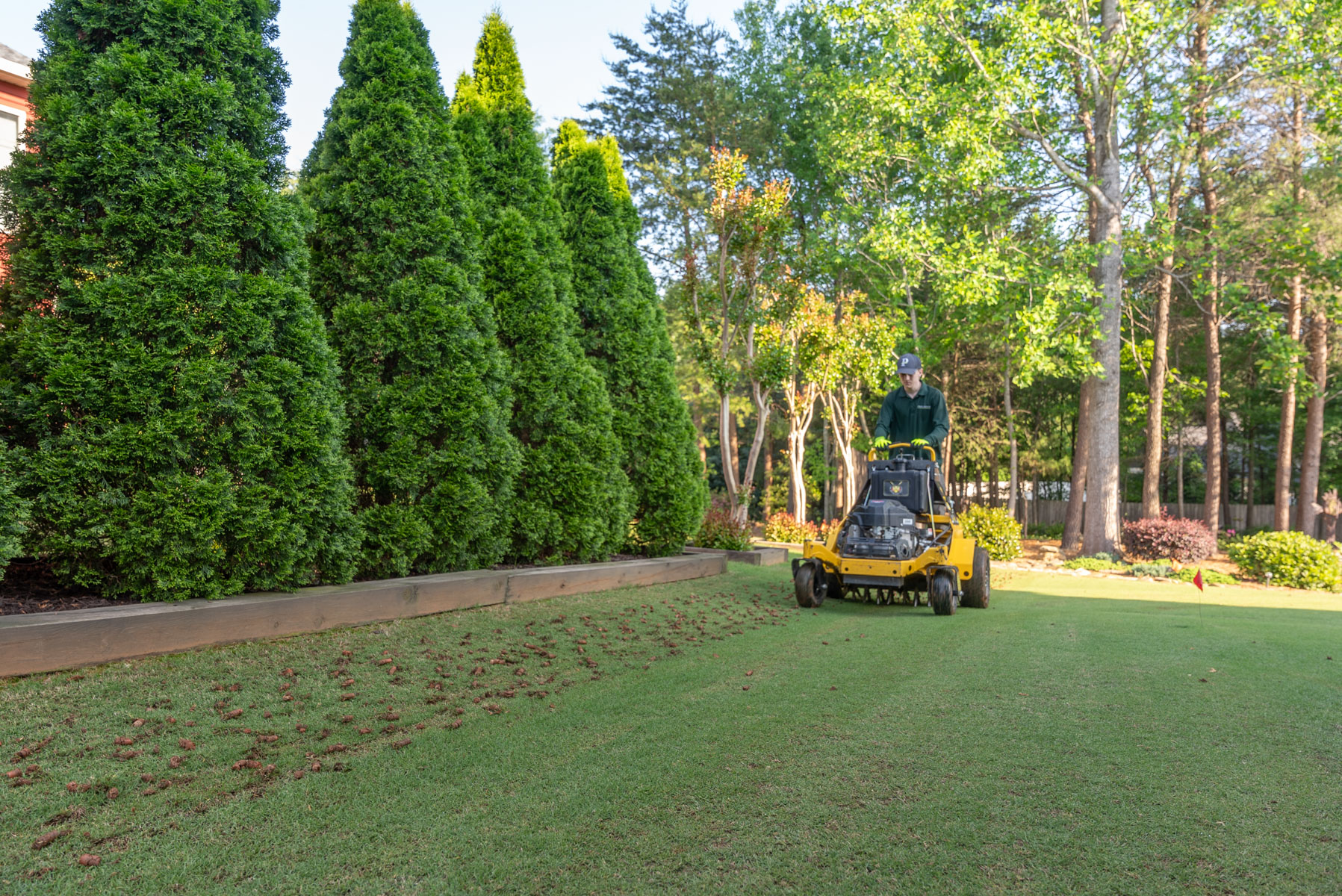 lawn aeration lawn care crew plugs grass 4