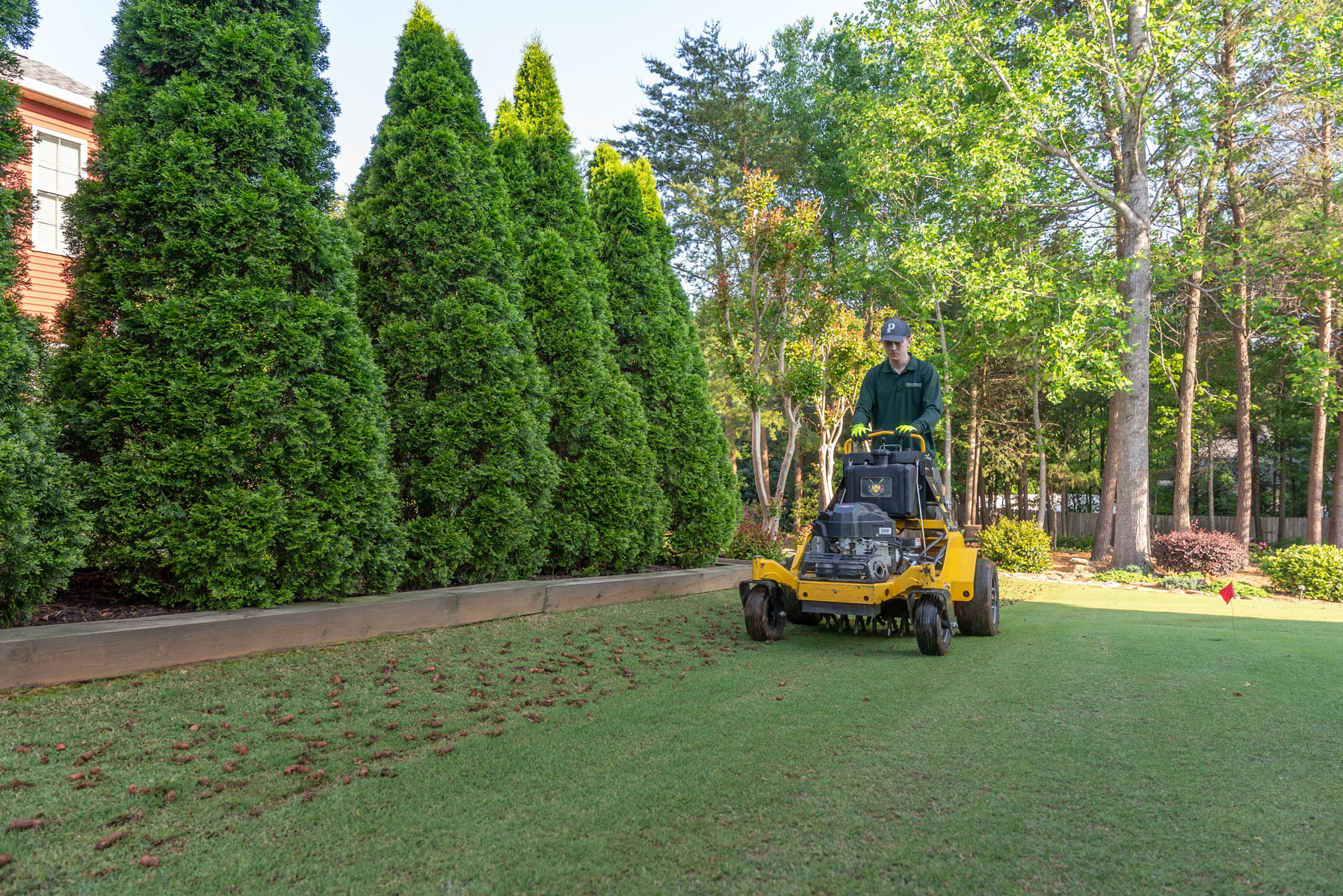 lawn aeration lawn care crew plugs grass 5