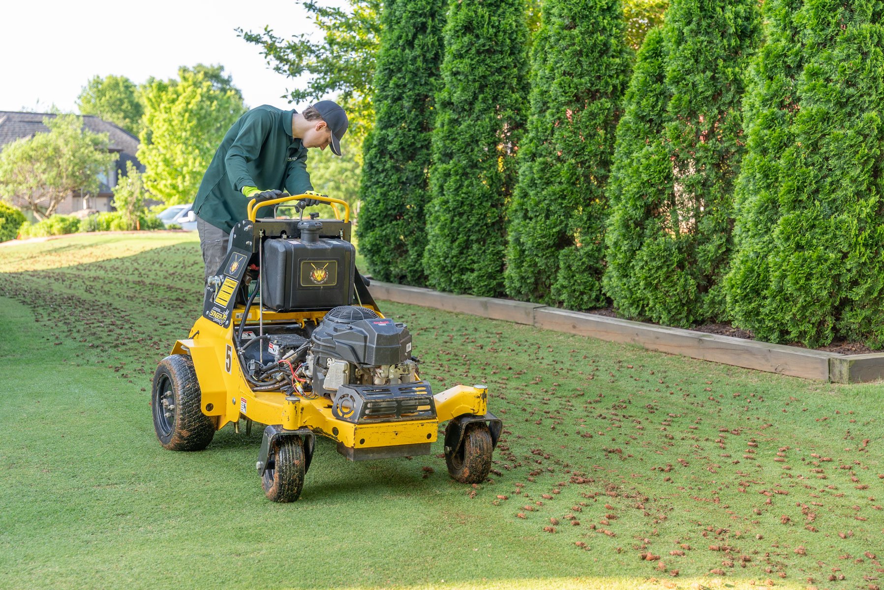 lawn aeration lawn care crew plugs grass vert 6