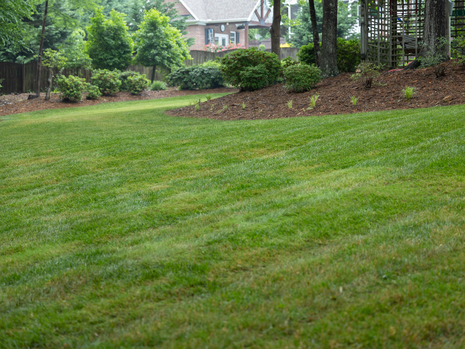 nice green grass planting bed perennials shrubs lawn