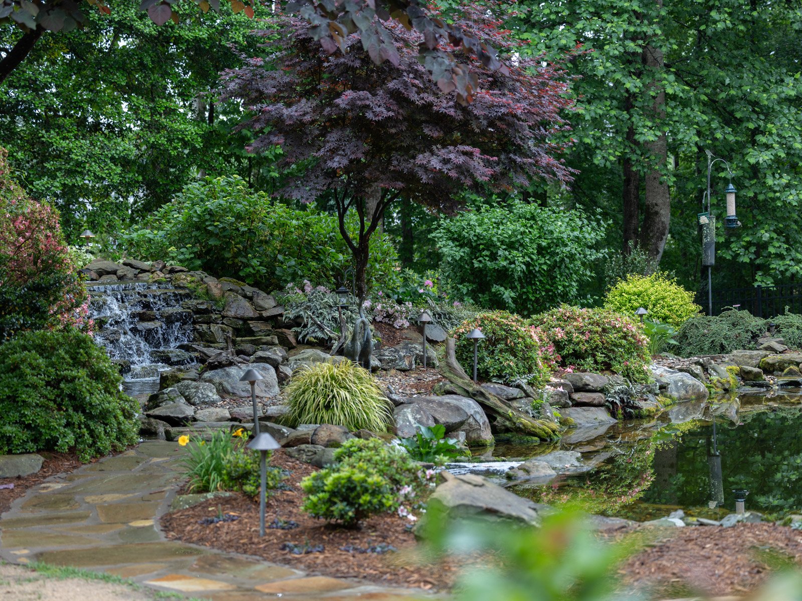 nice waterfall japanese maple plants bed mulch lights path stone garden pond